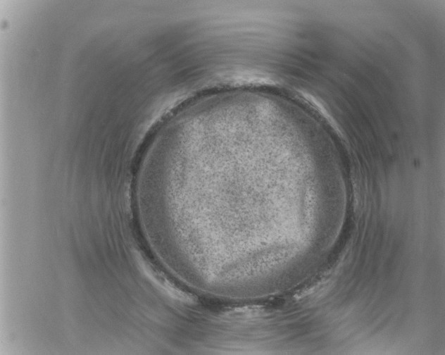 X0000061150447200512092003