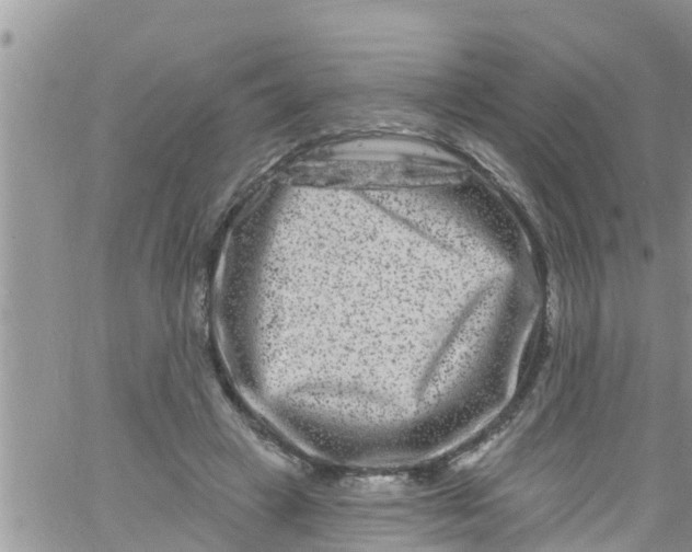 X0000061150449200512092003