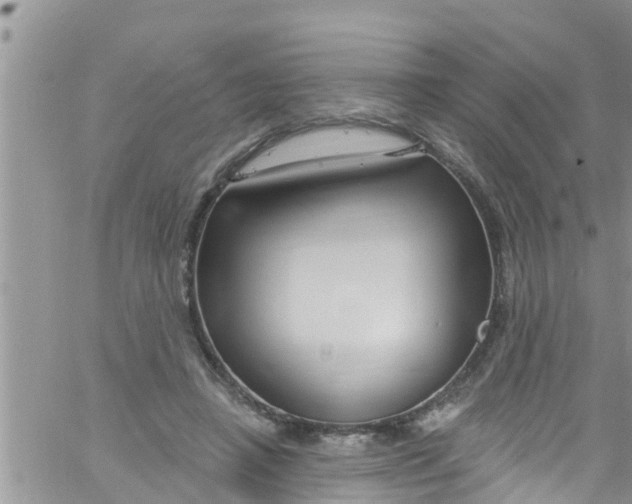 X0000061150450200512092003