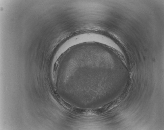 X0000061150451200512092003