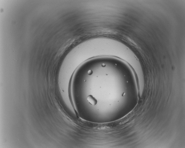 X0000061150452200512092003