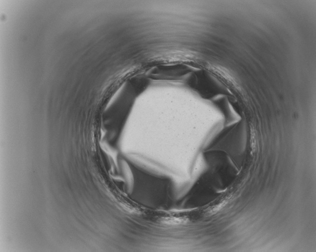 X0000061150453200512092003