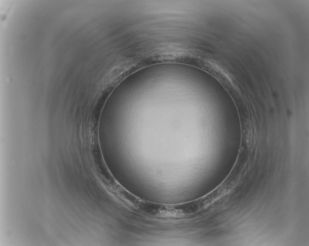 X0000061150455200512092003