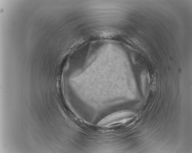 X0000061150456200512092003