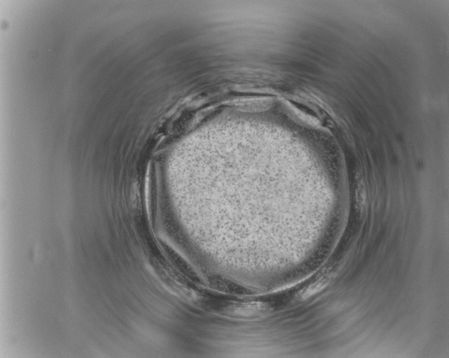 X0000061150459200512092003