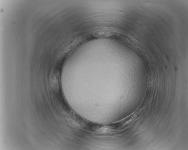 X0000061150460200512092003