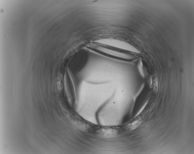 X0000061150464200512092004