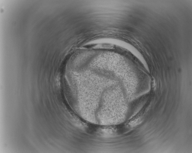 X0000061150466200512092004