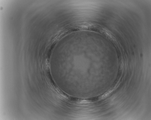 X0000061150467200512092004