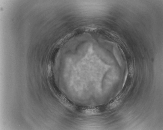 X0000061150468200512092004