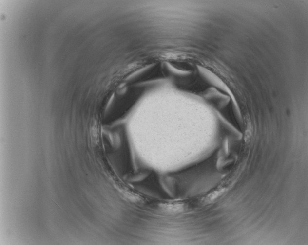 X0000061150469200512092004