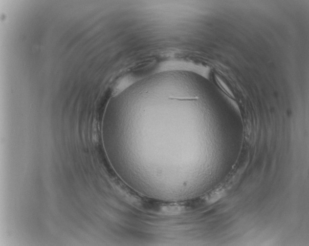 X0000061150470200512092004