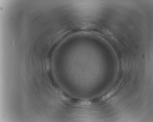 X0000061150471200512092004