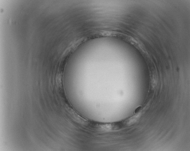 X0000061150473200512092004