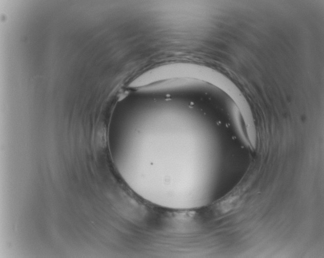 X0000061150474200512092004