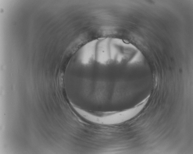 X0000061150475200512092004