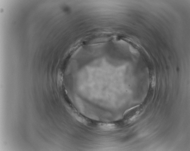 X0000061150476200512092004