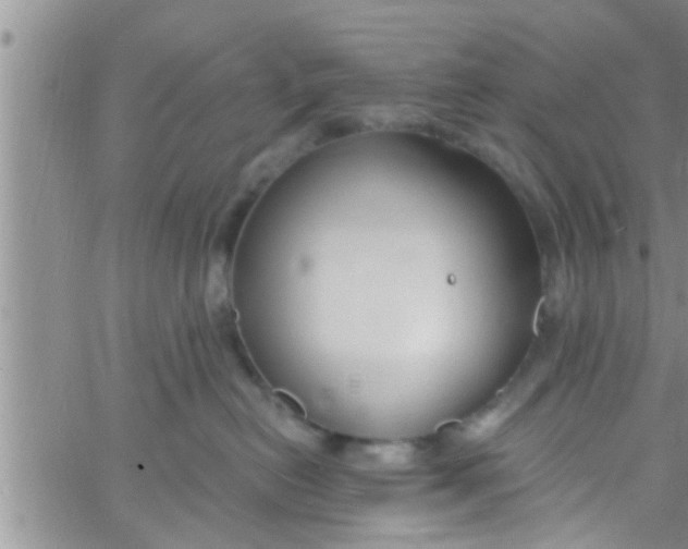 X0000061150478200512092004