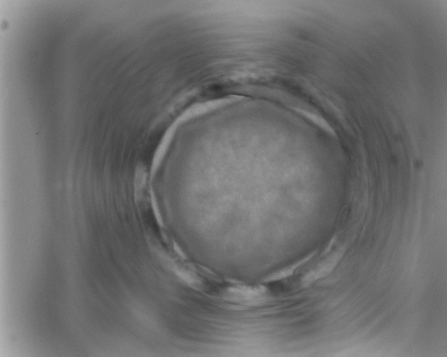 X0000061150480200512092004