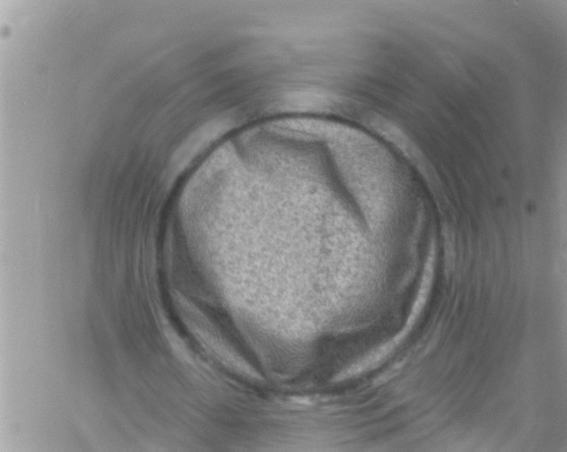 X0000061150482200512092003