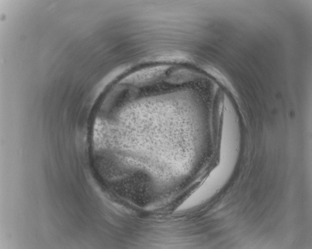 X0000061150483200512092003