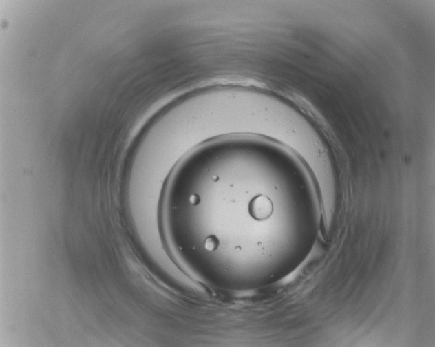 X0000061150484200512092003