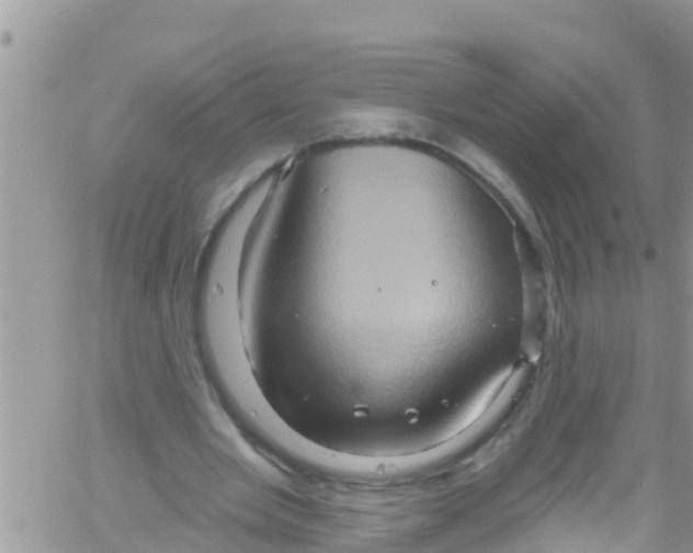 X0000061150485200512092003