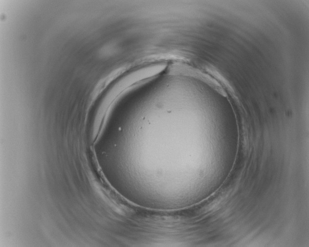 X0000061150486200512092003