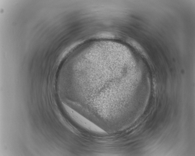 X0000061150487200512092003