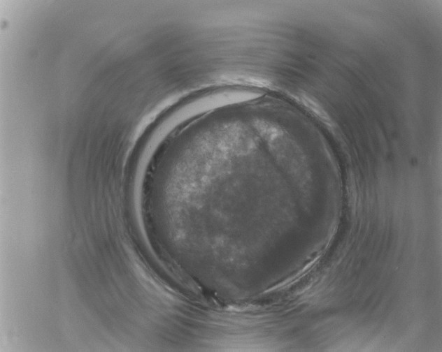 X0000061150488200512092003