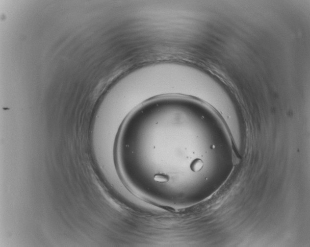 X0000061150489200512092003