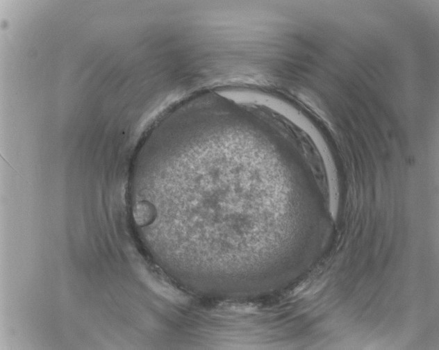 X0000061150491200512092003