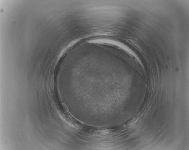 X0000061150492200512092003