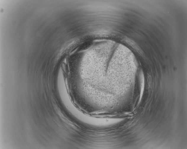 X0000061150494200512092003