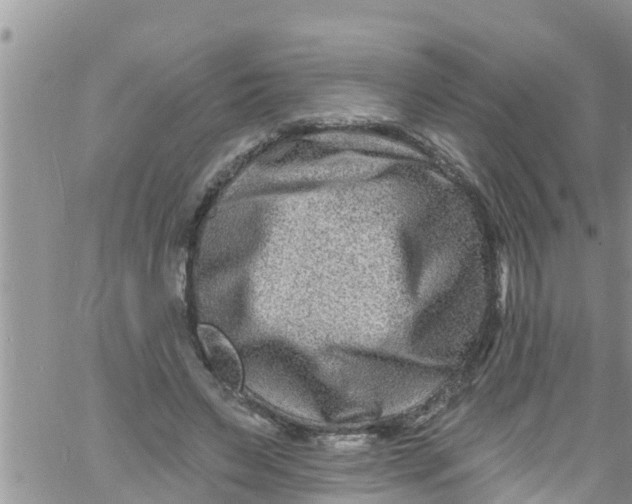 X0000061150495200512092003