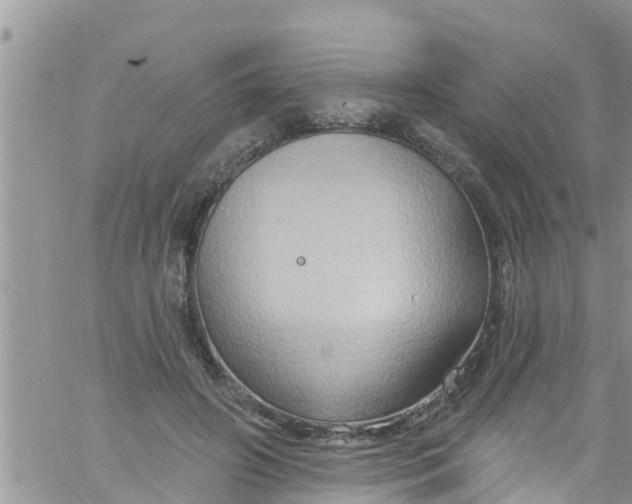 X0000061150498200512092003