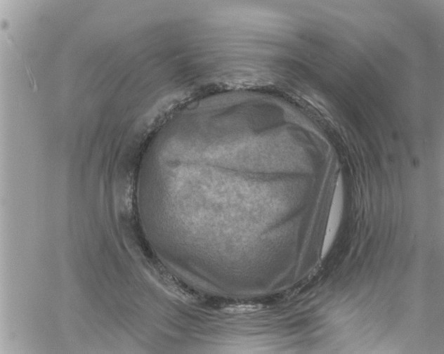 X0000061150499200512092003