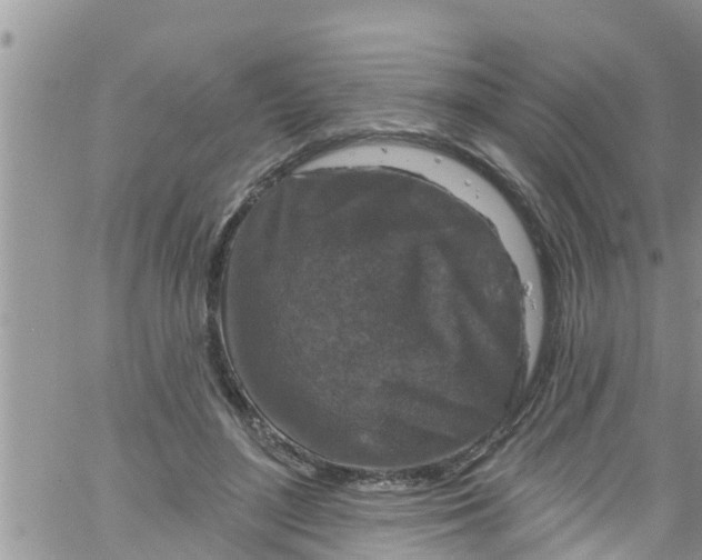 X0000061150500200512092003