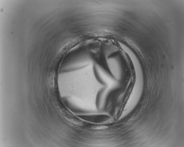 X0000061150501200512092003