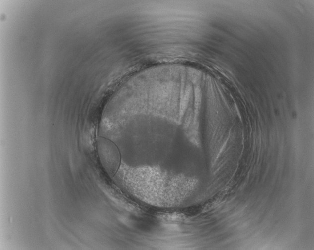 X0000061150503200512092003