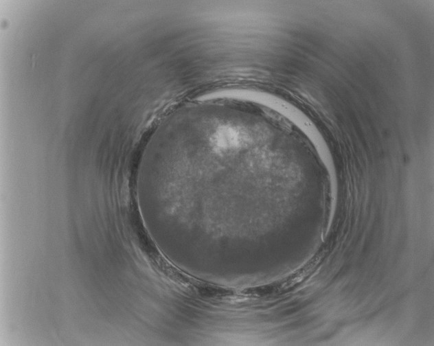 X0000061150504200512092003