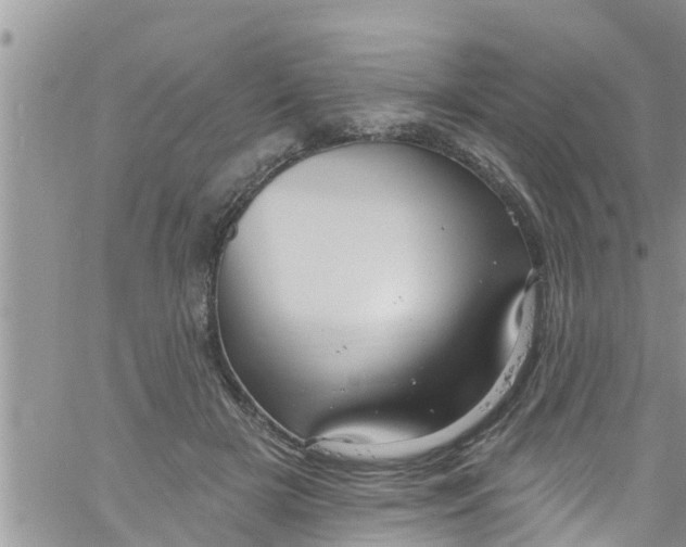 X0000061150505200512092003