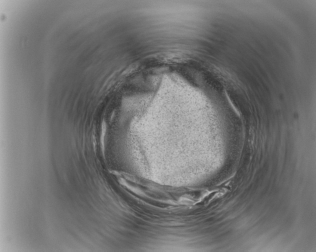 X0000061150506200512092003