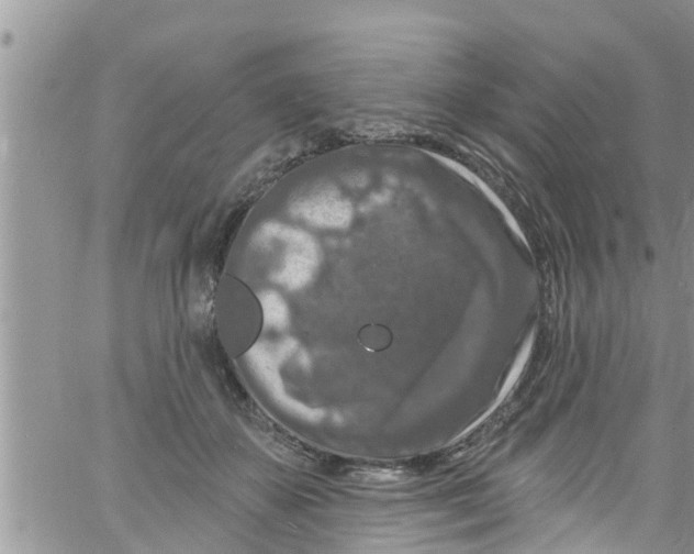 X0000061150507200512092003