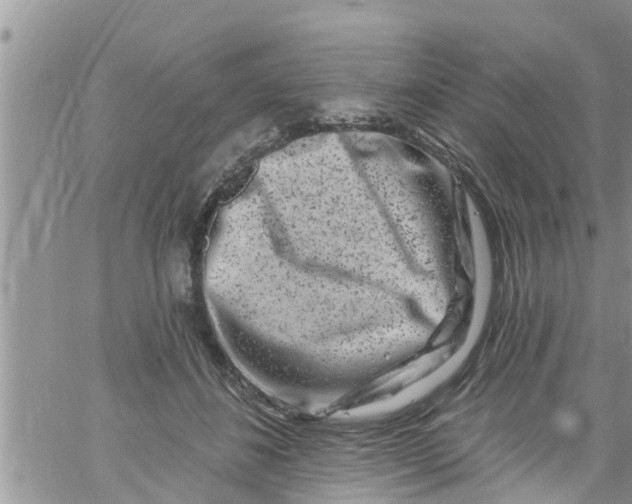 X0000061150508200512092003