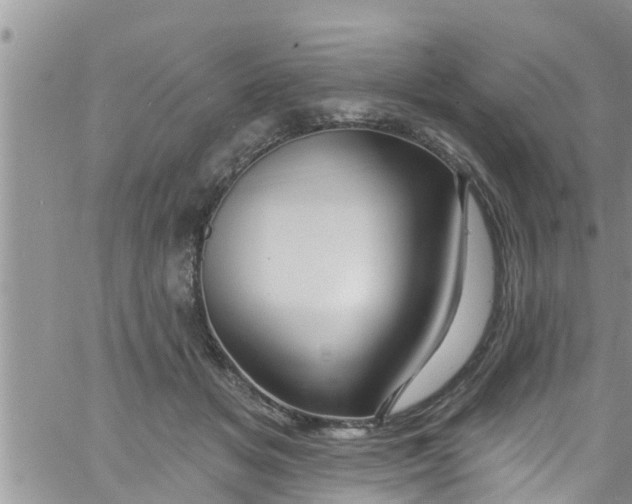 X0000061150509200512092003