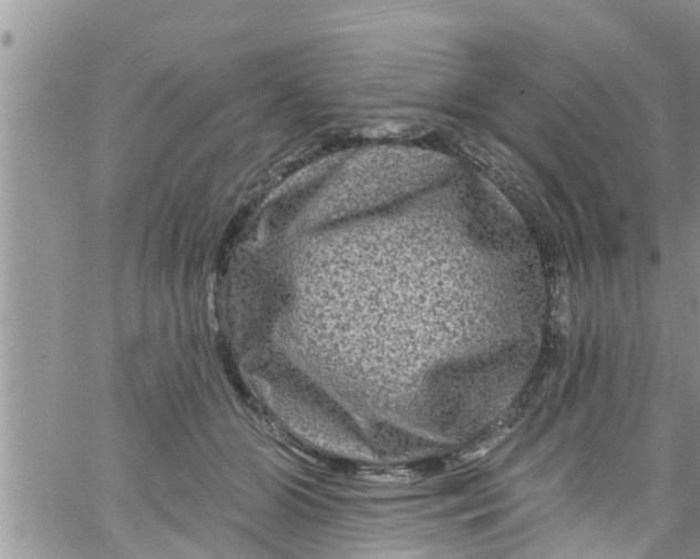 X0000061150510200512092003