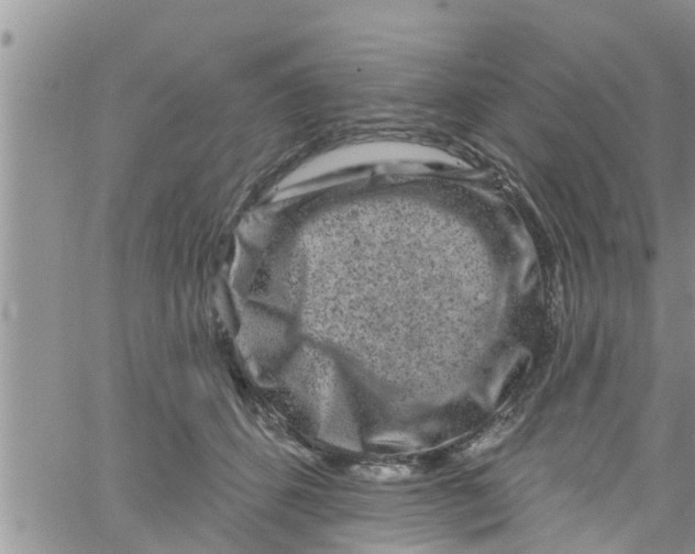 X0000061150512200512092003