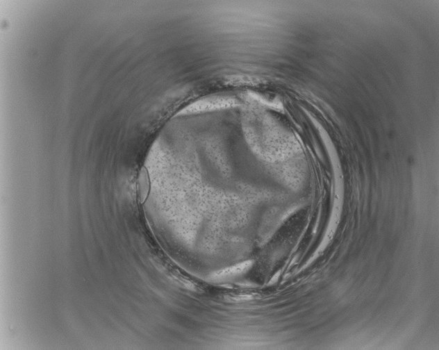 X0000061150513200512092002