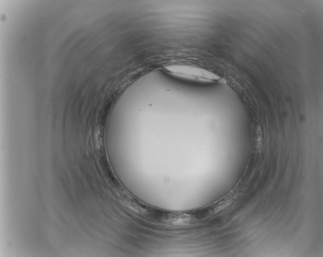 X0000061150514200512092002